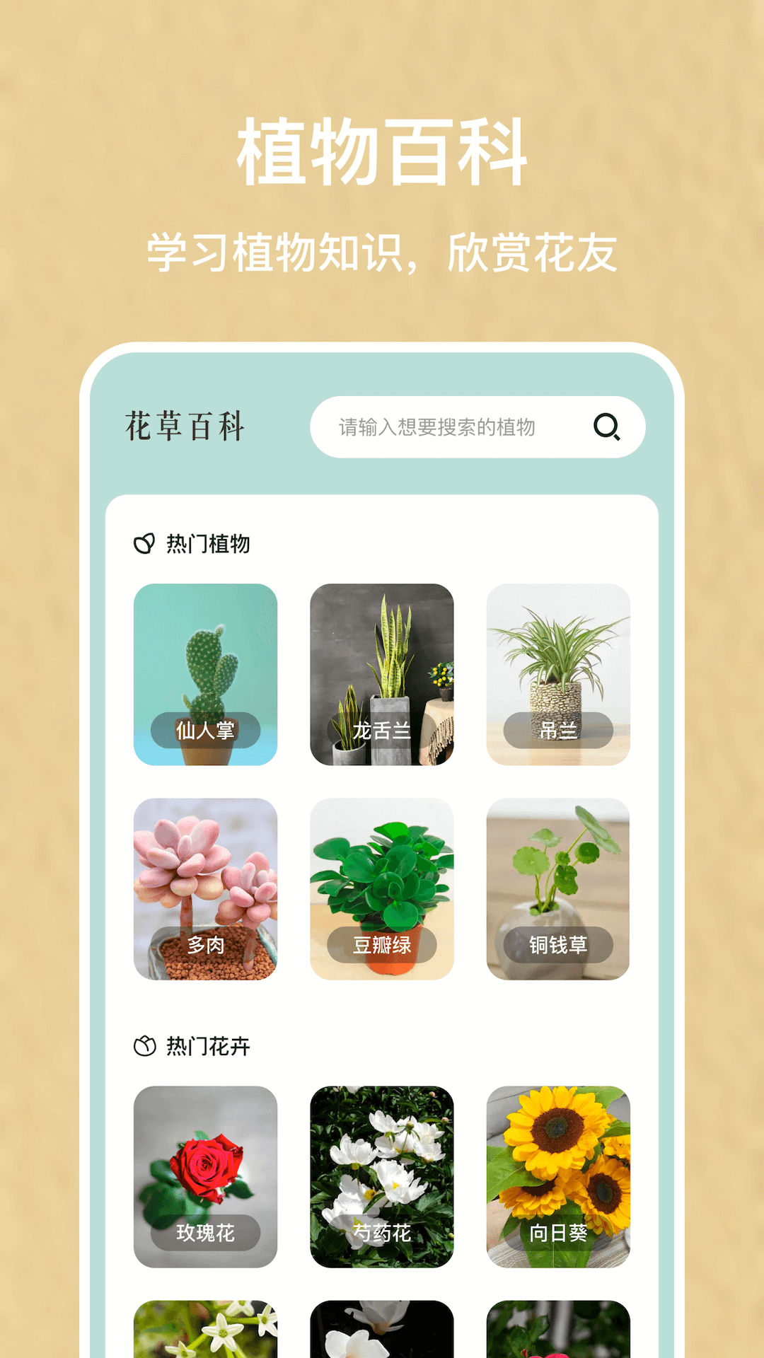 识别植物扫一扫,识别植物扫一扫的app