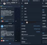 nekogram中文版,nonogram游戏官网