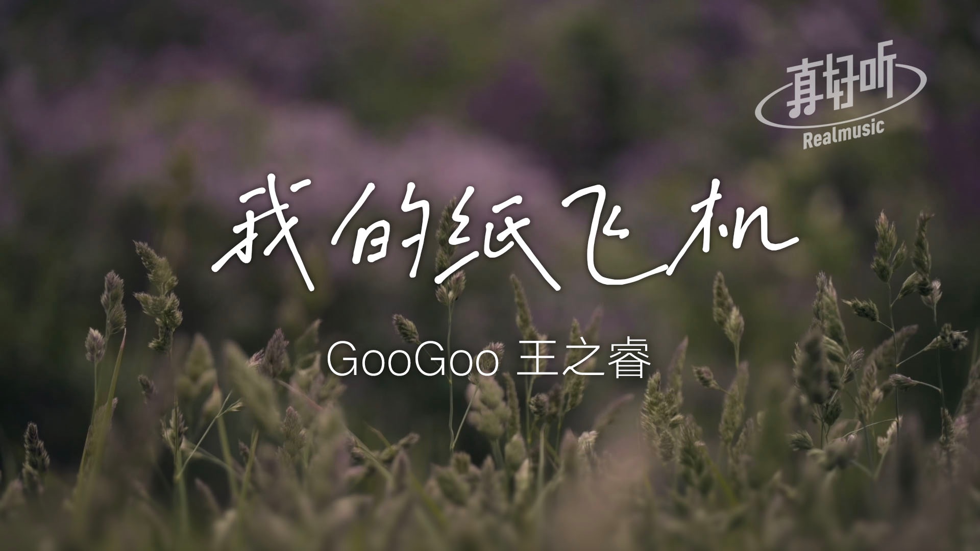 纸飞机的经典语录,纸飞机语录经典语录